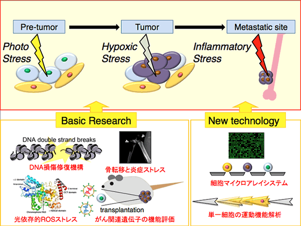 がん班研究