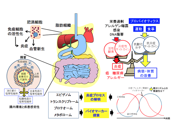 炎症・アレルギー疾患研究班