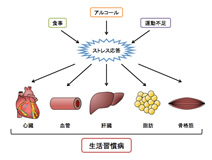 生活習慣病研究班