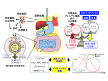 炎症・アレルギー疾患研究班