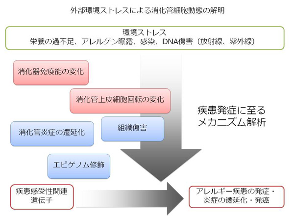 土肥　多惠子