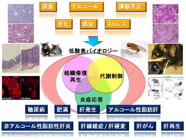 合田　亘人