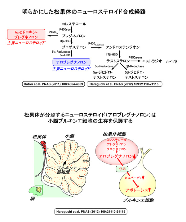 筒井　和義